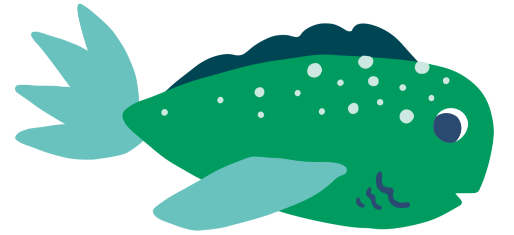 Baby swim lessons Sydney Eastern Suburbs Fish Illustration